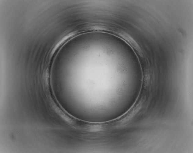 X0000115680798200911121245