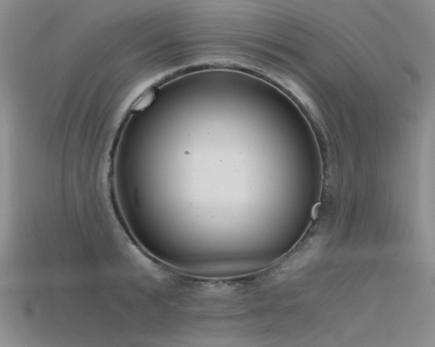 X0000115680799200911121245