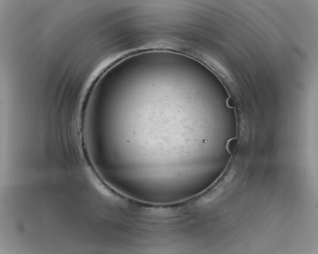 X0000115680800200911121245