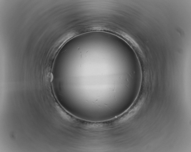 X0000115680801200911121245