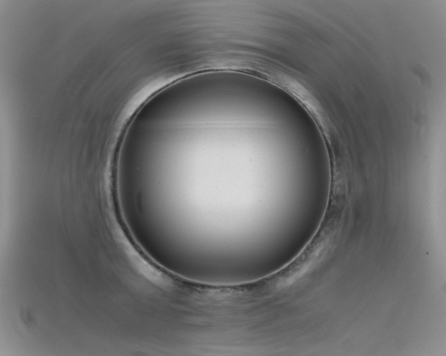 X0000115680803200911121245