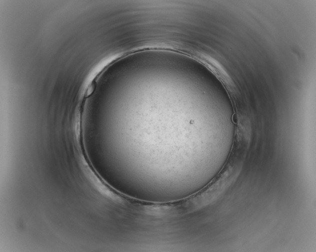 X0000115680804200911121245