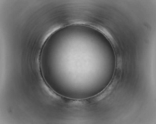 X0000115680806200911121245