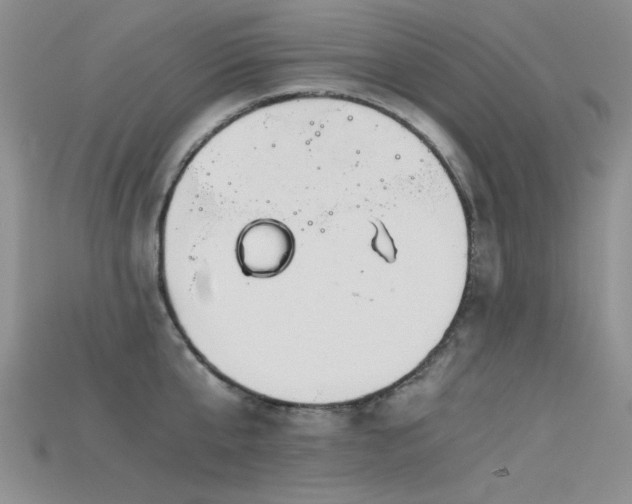 X0000115680807200911121245