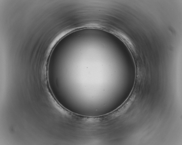 X0000115680808200911121245