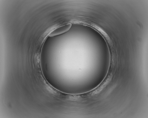 X0000115680809200911121245