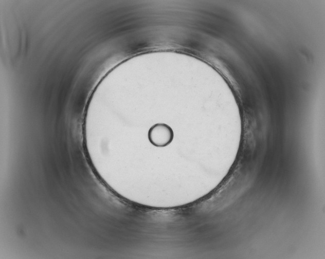 X0000115680810200911121244