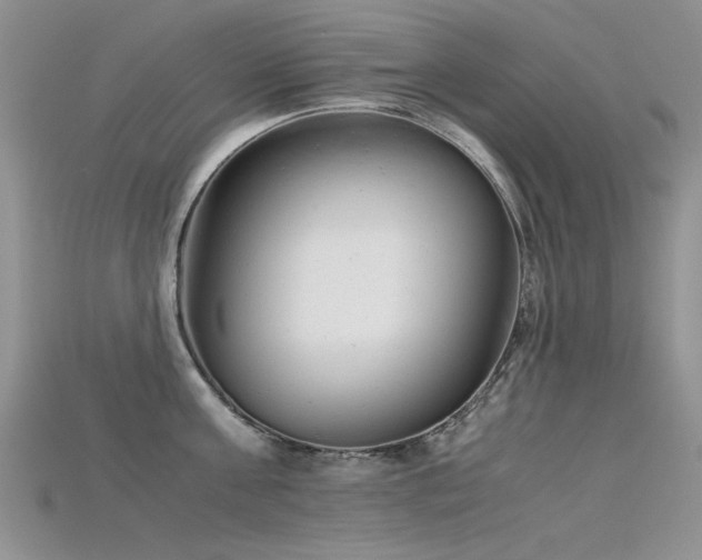 X0000115680811200911121244