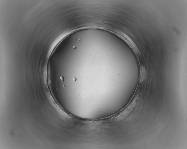 X0000115680812200911121244