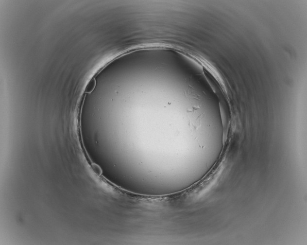 X0000115680813200911121244