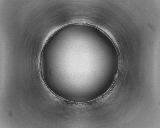 X0000115680815200911121244