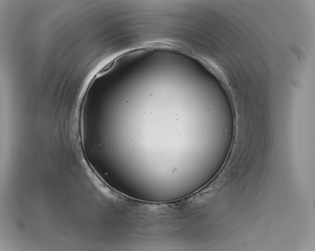 X0000115680816200911121244