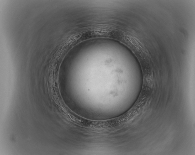 X0000115680817200911121244