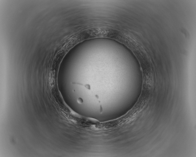 X0000115680818200911121244