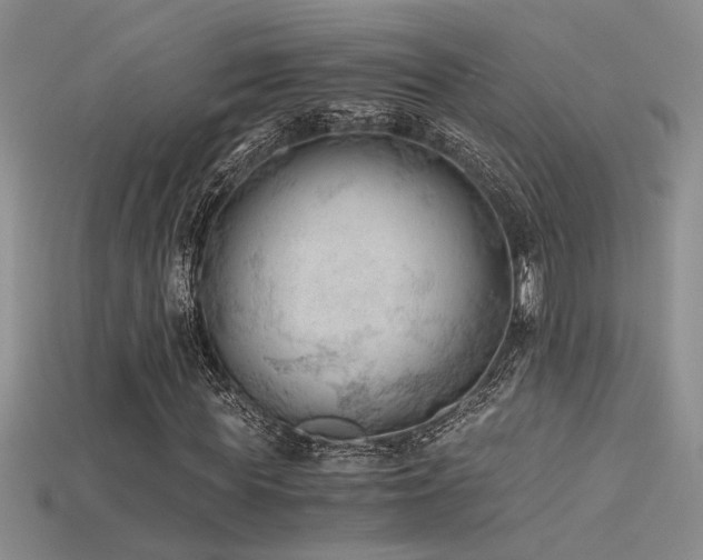 X0000115680819200911121244