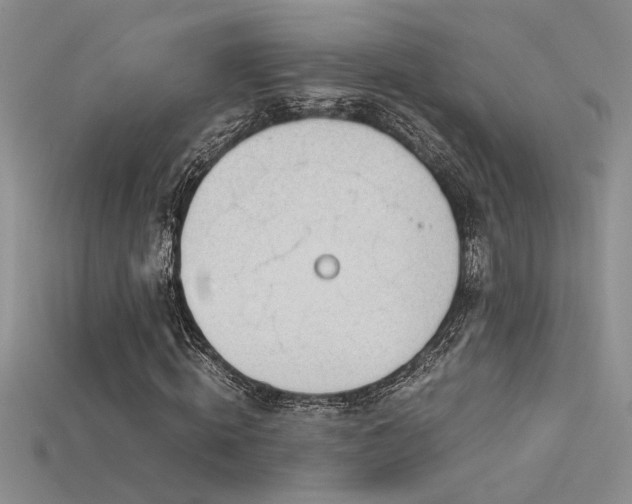 X0000115680820200911121244