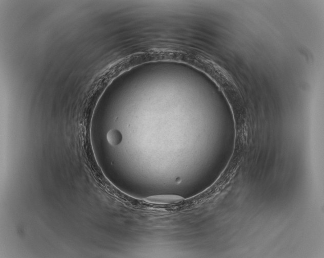 X0000115680821200911121244