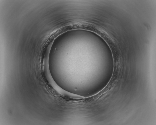 X0000115680822200911121244