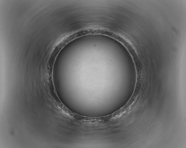 X0000115680823200911121244