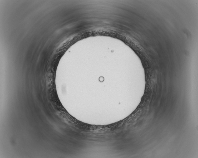 X0000115680824200911121244