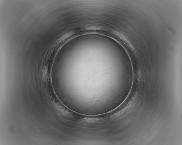 X0000115680825200911121244