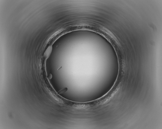 X0000115680826200911121244