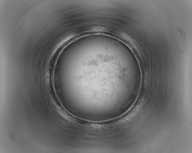 X0000115680827200911121244