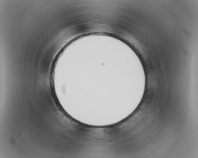 X0000115680828200911121244