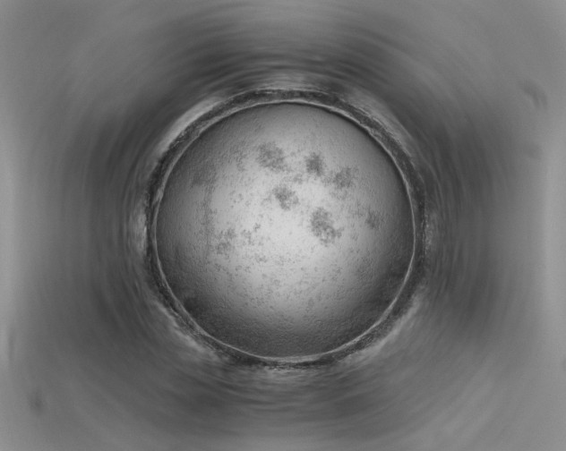 X0000115680829200911121244