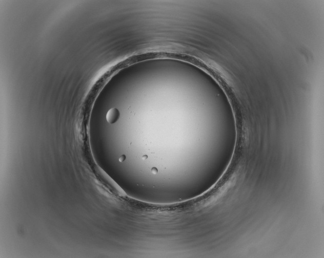 X0000115680830200911121244