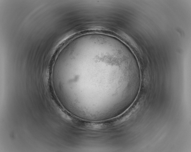 X0000115680831200911121244