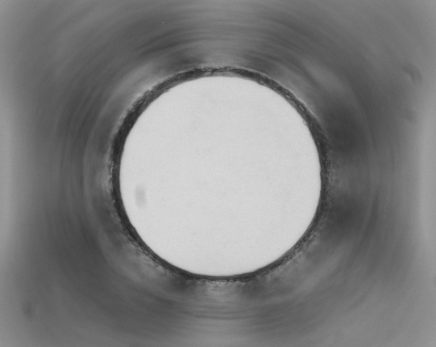 X0000115680832200911121244