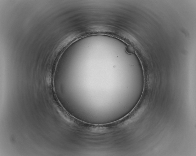 X0000115680833200911121244