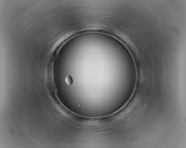 X0000115680834200911121244