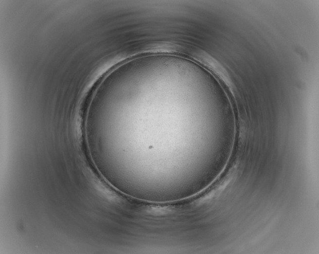 X0000115680835200911121244