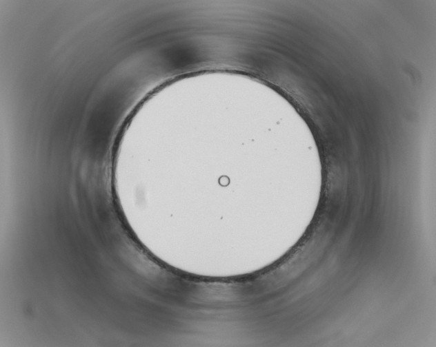 X0000115680836200911121244