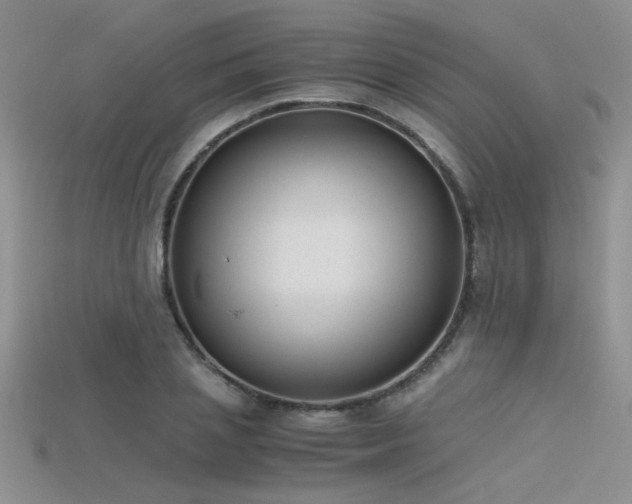 X0000115680837200911121244