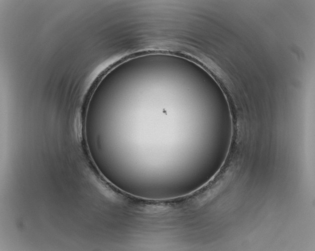 X0000115680838200911121244