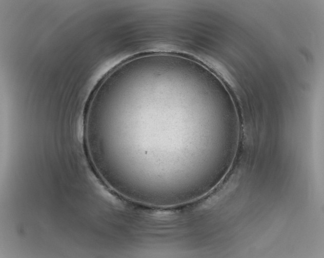 X0000115680839200911121244