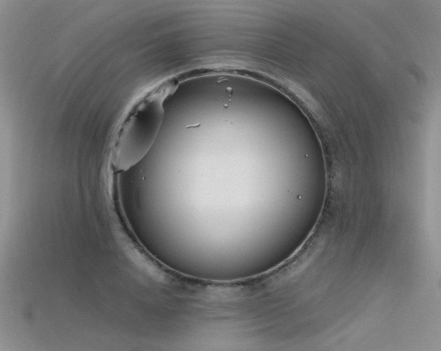 X0000115680840200911121244