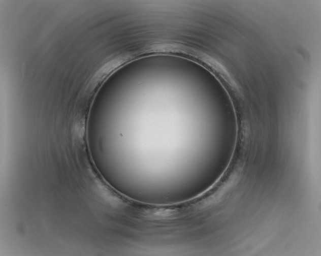 X0000115680841200911121244