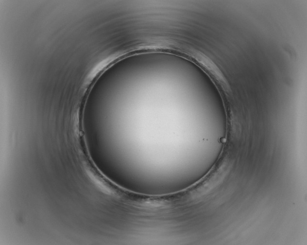 X0000115680842200911121244