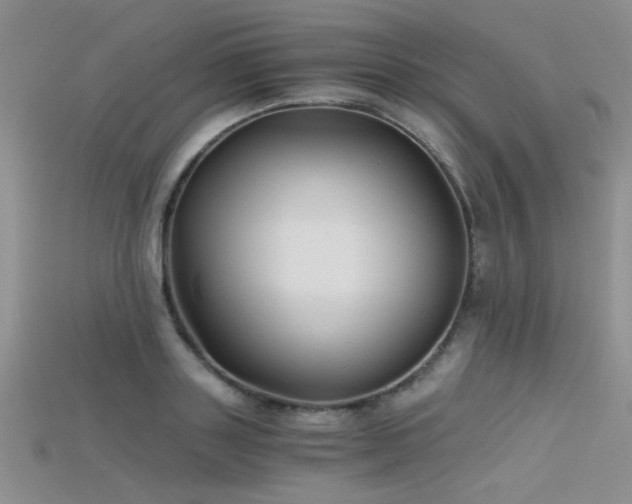 X0000115680843200911121244