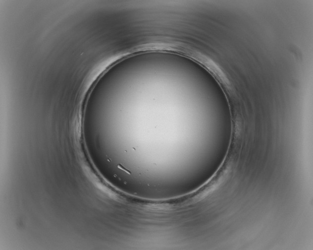 X0000115680844200911121244