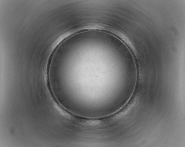 X0000115680845200911121244