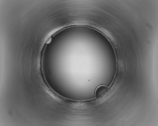 X0000115680846200911121244