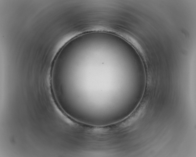 X0000115680847200911121244