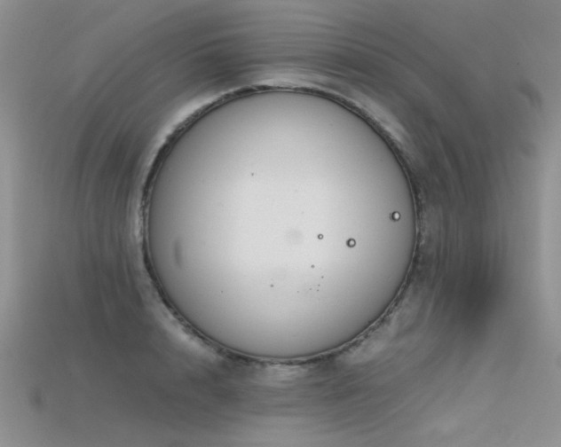 X0000115680848200911121244