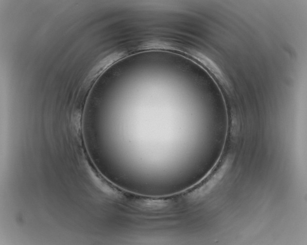 X0000115680849200911121244