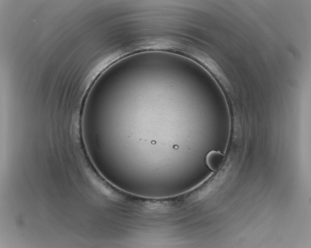 X0000115680850200911121244